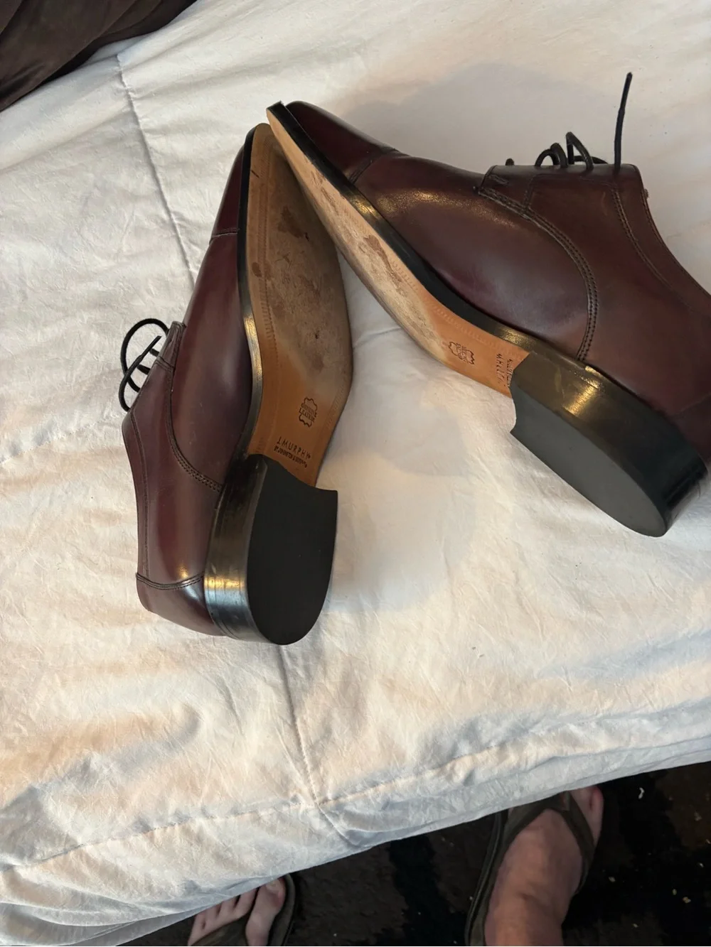 J. Murphy Men's Cap-Toe Dress Oxfords in Burgundy